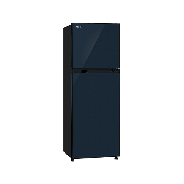Toshiba Refrigerator (Inverter,Double door,234L,Blue...